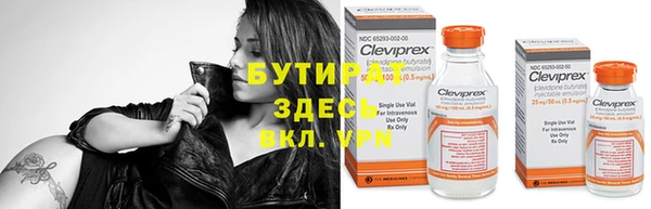 сатива Приозерск