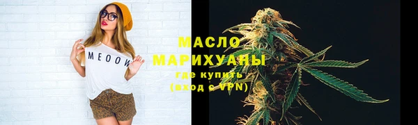 дмт Протвино