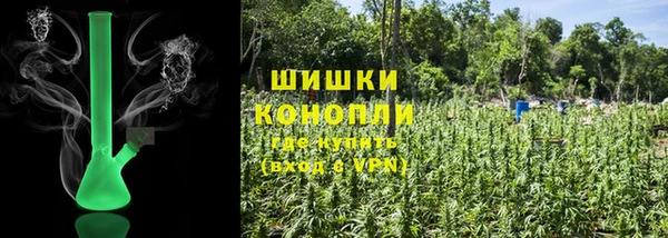 сатива Приозерск