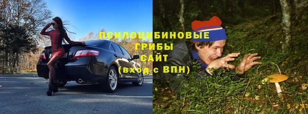 герыч Вяземский