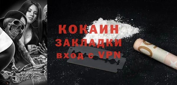 дмт Протвино