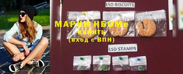 дмт Протвино