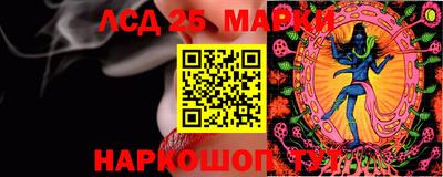 ПСИЛОЦИБИНОВЫЕ ГРИБЫ Балахна
