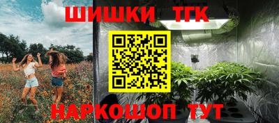 СК Волгодонск