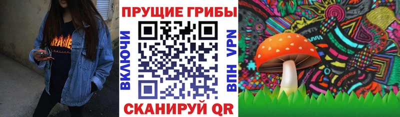 Галлюциногенные грибы Psilocybine cubensis  Губаха 