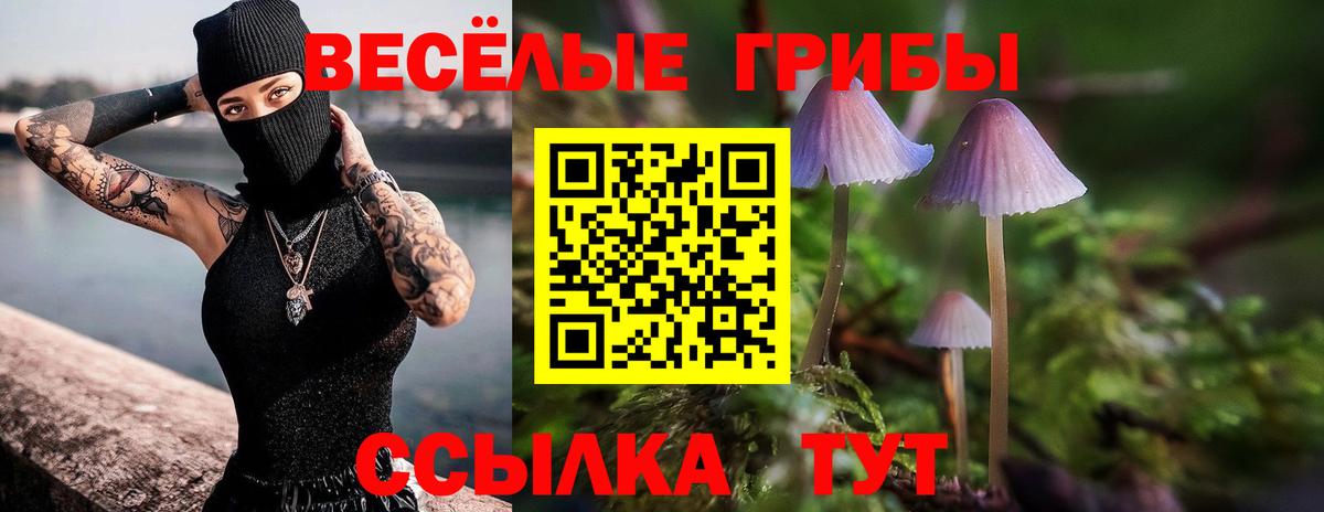 Галлюциногенные грибы Magic Shrooms  Губаха  Псилоцибиновые грибы ЛСД 