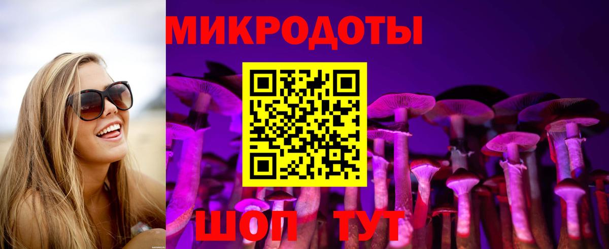 Галлюциногенные грибы Cubensis Губаха