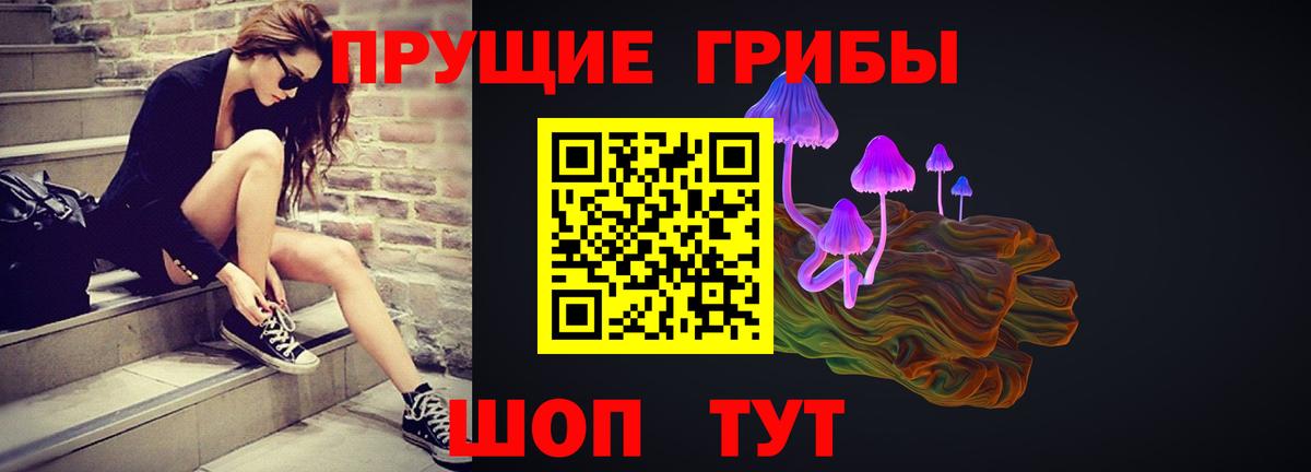 Галлюциногенные грибы Psilocybine cubensis  Вход с VPN  Псилоцибиновые грибы мицелий  Губаха 